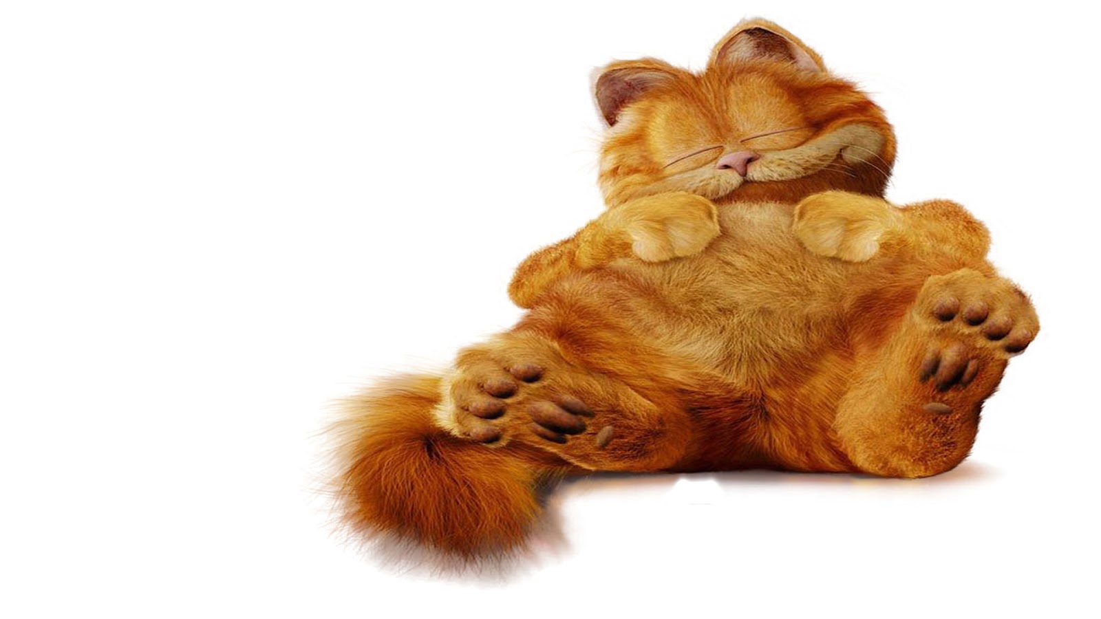 Wallpaper Lucu Gambar Kucing Garfield Terbaru 2016 Kata Kata