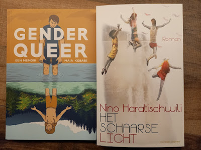 Gender Queer en Het schaarse licht de covers