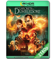 ANIMALES FANTÁSTICOS: LOS SECRETOS DE DUMBLEDORE (2022) WEB-DL 2160P HDR MKV ESPAÑOL LATINO