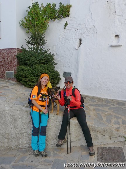 Por los castañares de Pujerra e Igualeja