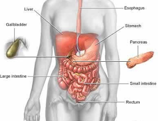 LP GEA atau Gastroenteritis Akut