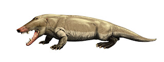 Ambulocetus