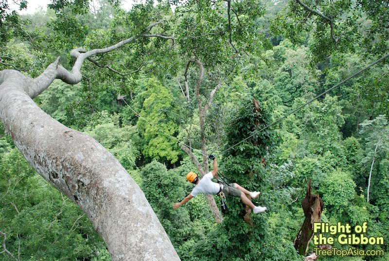 Thailand's Flight Of The Gibbon Zip Line – You Couldn't