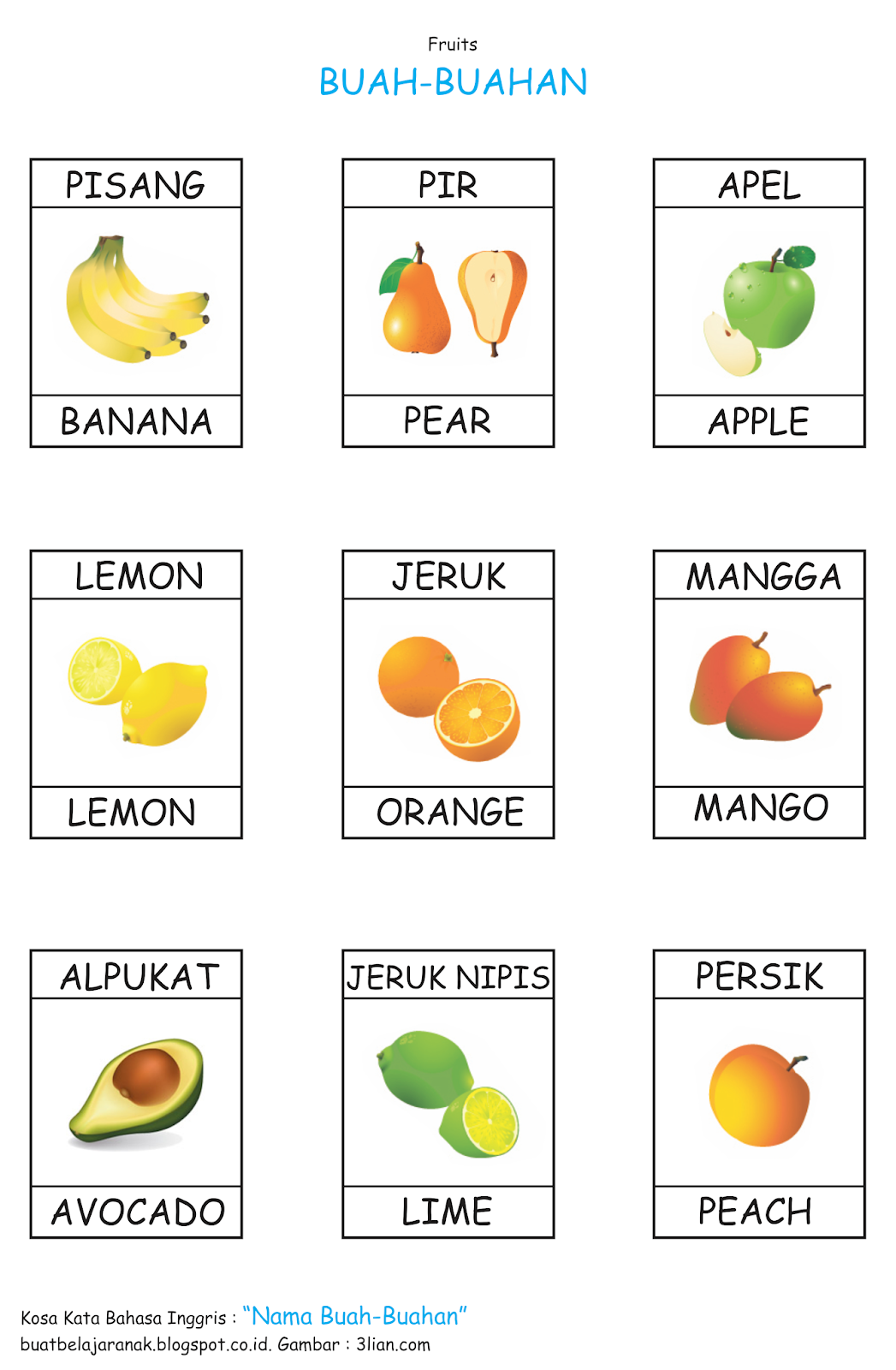 Kosa Kata Nama  Buah  buahan Dalam  Bahasa  inggris  Buat 