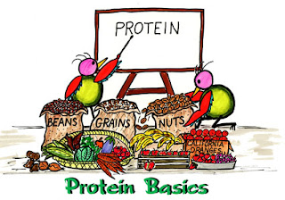 eat proteins daily