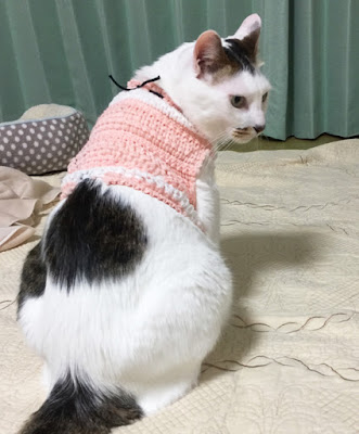 ヘアバンドに穴を開けて簡易ウエアに