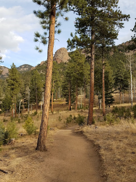 Early Morning Run - Staunton State Park trail