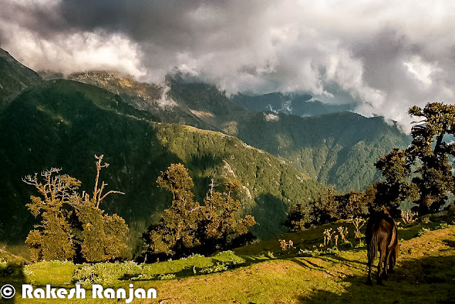 Triund is one of the popular treks in Himachal Pradesh. This is counted in moderate treks, although many of the trekkers consider it simple trek. This Photo Journey shares wonderful series of photographs by Rakesh Ranjan, who has done this trek many times. Let's check out this Photo Journey and enjoy the trek with Rakesh Ranjan !Triund is just 10 kilometers from Bhagsu Nag which is now very famous among  foreigner tourist as a trekking paradise. Triund is name of a ridge in Dhauladhar Himalayas... Reaching Triund is very easy for people coming to Mcledoganj and Dharmshala. Accommodation at Triund is available in the rest house of Forest Department, but water has to be fetched from a distance of about 2 kilometers. Most of the times trekkers prefer to stay in tents. Many local companies arrange trekking facilities for trekkers & tourists. Although many of the trekkers take their stuff with them.  Triund lies at the feet of the perpetually snow covered Dhauladhar mountain ranges at the height of three thousands meters. It's around 20 kilometers from Dharmshala Town. The snow line starts at Ilaqa which is at 3300 feet, 5km from Triund.A photograph showing sunset moments from top at Triund !Triund is a popular picnic and trekking spot around Dharmshala/Mcleodganj. The tracks from Rawa, Dal Lake, Dharamkot and Bhagsunag meet at a ridge known as Galu temple (2130 meters) which has a small shrine and water point.A wonderful photograph by Rakesh Ranjan which looks quite similar to what we have seen in Windows-XP wallpapersHimalayas is very beautiful but my main emphasis to come in this area can be Yoga & Meditation...The trek to Triund is quite easy as compared to other treks and first timers can manage doing this trek. Some of the trekkers also like to move ahead to Ilaka, as path is a little treacherous in some spots can be more adventurous.A herd of Sheeps around Triund Trek !A View of Mcleodganj & Dharmshala towns from triund Trek in Himachal Pradesh !Folks who plan to visit Mcledoganj/Dharmshala during the weekend, they plan to go till Triund during day time and come back by evening. This trek can easily be done in one day, although it can be completely different experience to stay there in tents.Triund is on the foothills of Dhauladhar mountain range. The entire trek is full of adventurous experiences. The Triund trek is one of the most popular treks in the hills of Himachal Pradesh, INDIA. It makes for a very pleasant and enjoyable Trekking experience in the state. It is a short trek on the oldest migratory route followed by shepherds of Chamba and Kangra regions of Himalayan State in India.The Triund Trek combines the beauty of two of the most beautiful valleys in the Himachal Pradesh. The views from Laka are breathtaking and you occasionally come across shepherds rearing their flock of sheep in the green pastures. This trek is quite easy and pleasant.The Dhauladhar range is a southern branch of the main Outer Himalayan chain of mountains. The famous Gallu Temple is near the Mcleodganj waterfall in Dharamsala.On the way to Trek, folks can enjoy various flowers & herbs.Big Thanks to Rakesh Ranjan for sharing this wonderful Photo Journey from triund. PHOTO JOURNEY already has some wonderful journeys from neighboring places like Dharmshala, Mcleodganj, Palampur, Baijnath & many other interesting towns/sights. 