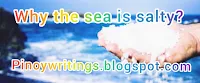 The people would cross the ocean on their boats to reach the gentle giant's island, and that is how they were able to bring salt back to their villages, in order to prepare tastier meals.