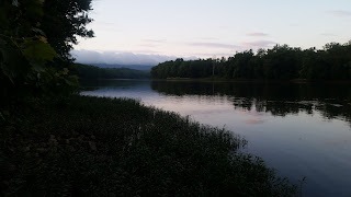 potomac smallmouth