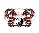dragons tattoo / chinese writing tattoo: Year of the Dragon