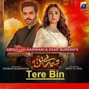 Tere Bin Episode 9