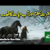 Life of Hazrat Khidr Alaihissalam
