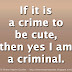 If it is a crime to be cute, then yes I am a criminal. 