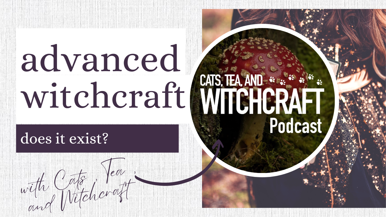 Advanced Witchcraft with Cats, Tea, and Witchcraft