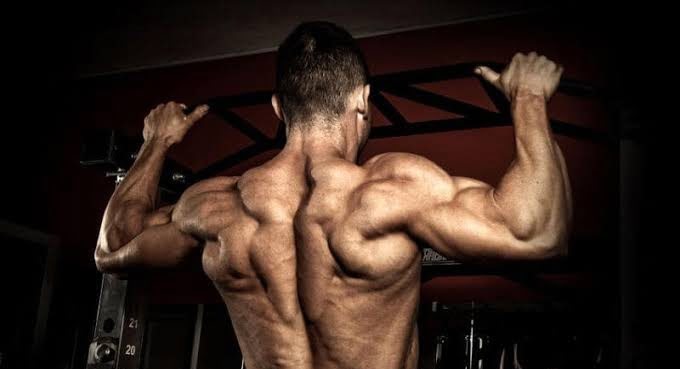 Best home workouts to build muscle