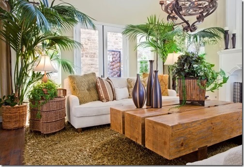 PLANTAS INTERIO