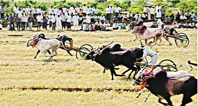 Animal Sports in India UPSC