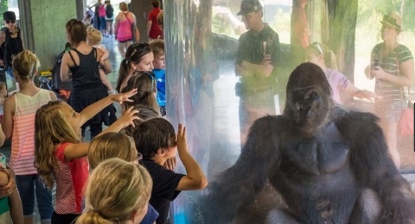 Travel to Nebraska: Information about the largest zoo in the world