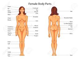 Woman body part image | Girl body parts | Girl photo full body