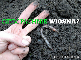 czym pachnie wiosna?