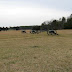 Confederate Gun Line at First Manassas