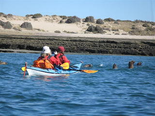 Sea Kayak and Whale Watching in Patagonia.