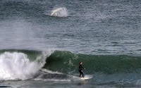 Massive shark captured jumping out of water just behind oblivious surfer