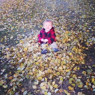 20131025 leaves