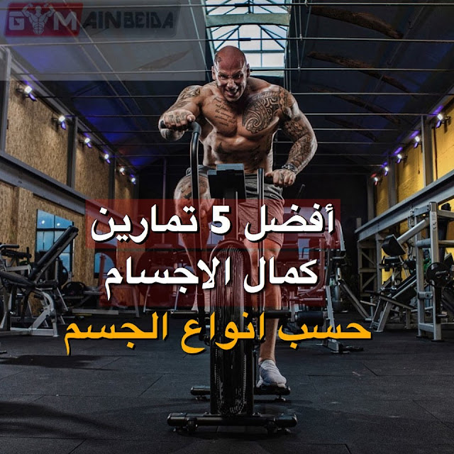 أفضل 5 تمارين كمال الاجسام حسب انواع الاجسام Gym Ain Beida