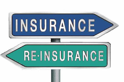 Reinsurance Providers Market