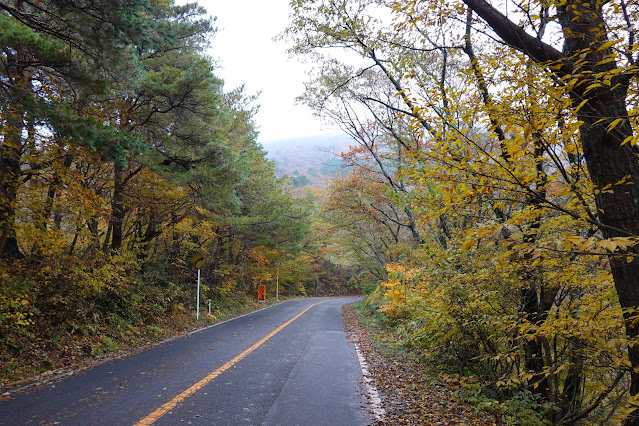 鳥取県道45号倉吉江府溝口線（大山環状道路）