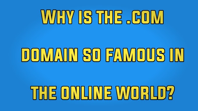 Why is the .com domain so famous in the online world?