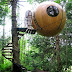 Hotels spherical tree, Canada