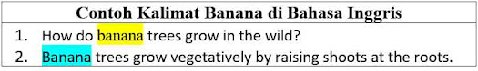 23 contoh kalimat menggunakan kata Banana di Bahasa Inggris,