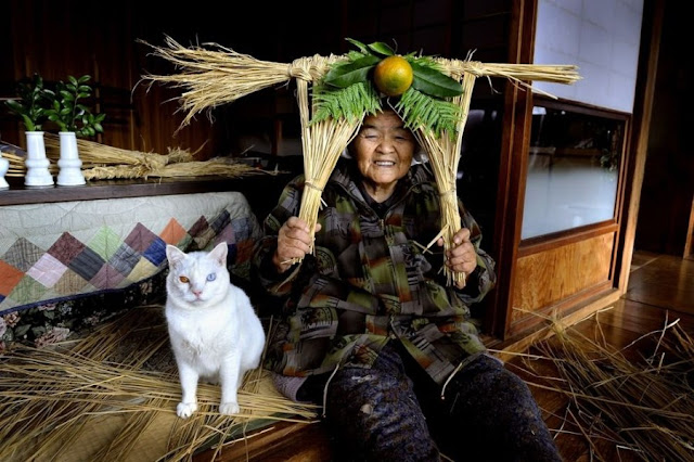 A grandma and her cat are best friends, Misa and Fukumaru, odd eyed cat