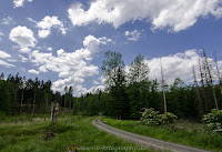 Naturfotografie Nikon Arnsberger Wald