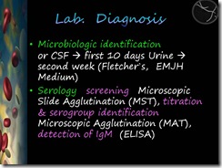 Slide141