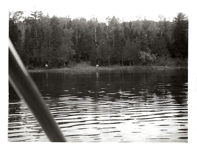 Shore at camp on Allagash, 22 June 1946