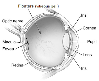 how to prevent floaters