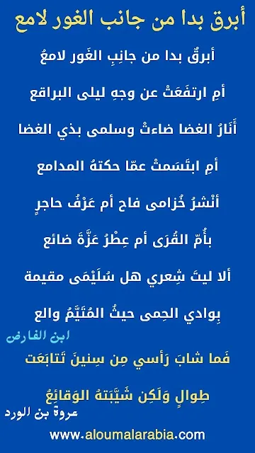 قصيدة ابن الفارض من البحرالطويل علي وزن قصيدة عروة بن الورد الشهيرة  فما شاب رأسي من  سنين تتابعت