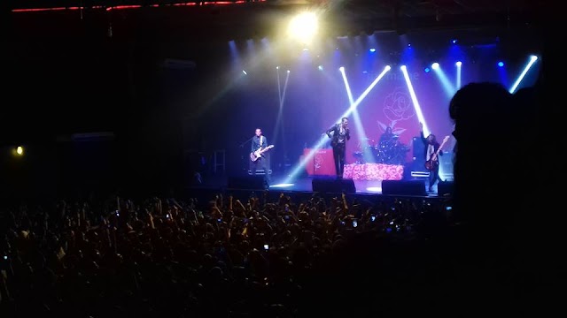 The Maine faz show eletrizante em São Paulo