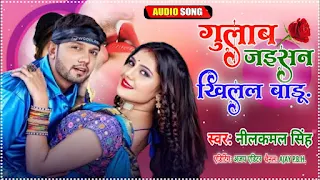 Gulab Jaisan Khilal Badu Lyrics - Neelkamal Singh