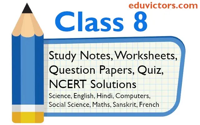 cbse papers questions answers mcq class 8