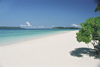 The Beauty of The Sea on The Island Karimunjawa pict