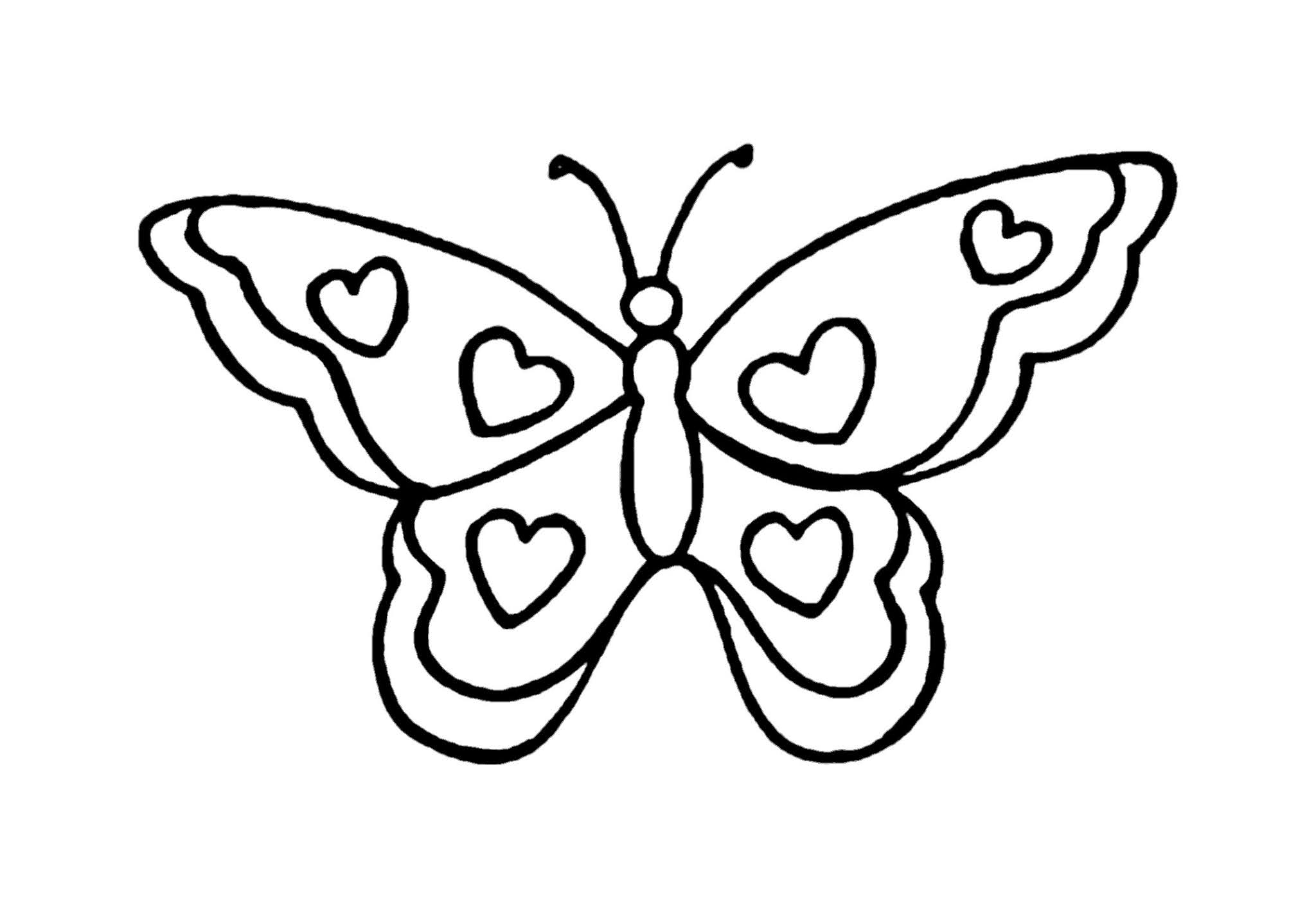 Butterfly Coloring Pages For Adults