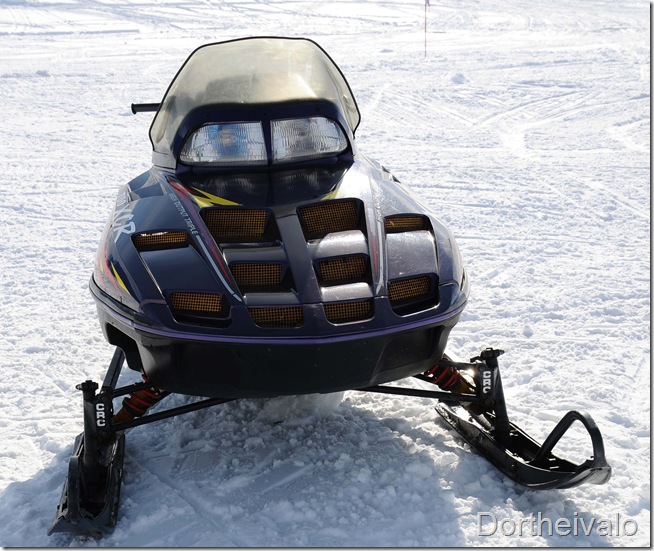 minnyesscooter