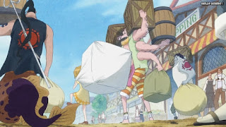 ワンピースアニメ 魚人島編 543話 タイヨウの海賊団 | ONE PIECE Episode 543