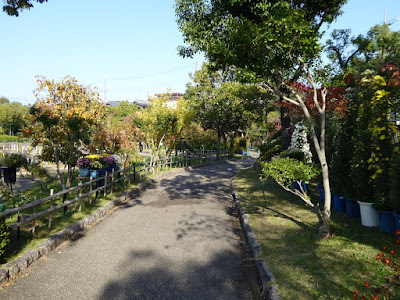 市民の森（鏡伝池緑地）ひらかた菊花展