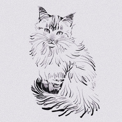 Simple Cat Drawing